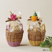 石渡 ギフト箱 ビスキュイ ラベンダー 120パイ 130140 1ケース(6個)（直送品）