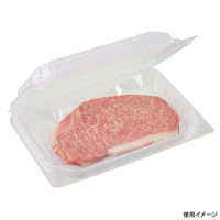 中央化学 弁当容器 耐寒PP 冷パック 23-16(50) 22665 1ケース(400個(25個×16))（直送品）