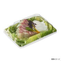 中央化学 刺身容器 四方盛 17-11 土岐GN 身 3947 1袋(50個)（直送品）