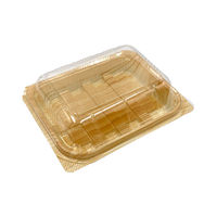 中央化学 フードパック パノラックV 15-12 男鹿 145664 1ケース(1200個(50個（直送品）