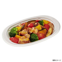 中央化学 軽食容器 TA DINER M28-17 W 004903 1袋(50個)（直送品）
