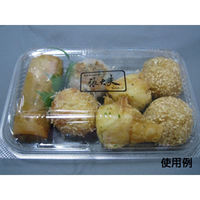 中央化学 フードパック パノラックV 20-13 38125 1袋(50個)（直送品）