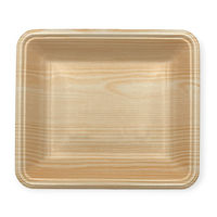 中央化学 発泡トレー CN 20-17FF 木曽内 (L) 228742 1ケース(1500個(100個×15))（直送品）