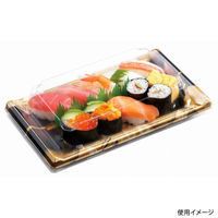 中央化学 刺身容器 CF 宴角 10-2 帯代BK-BK 身 167924 1ケース(800個(50個×（直送品）