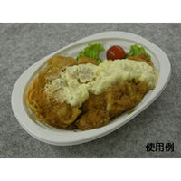 中央化学 惣菜容器 CT 街デリランチ D21 W 身 31047 1ケース(600個(50個×（直送品）