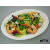 中央化学 惣菜容器 CT 沙楽 M24-16 W 身 213314 1ケース(400個(50個×（直送品）