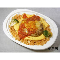 中央化学 惣菜容器 CT 街デリランチ D24 W 身 38026 1袋(50個)（直送品）