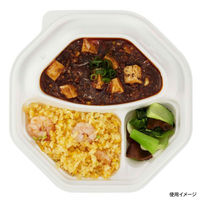 中央化学 カレー容器 CT キャリー 八角 24 W 身 6122 1袋(50個)（直送品）