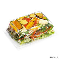 中央化学 惣菜容器 C-APG ベジマグ20-15 (60 身 914531 1袋(50個)（直送品）