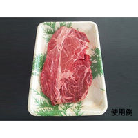 中央化学 鮮魚トレー CI 25-16 ヒバ 77602 1ケース(1000個(50個（直送品）