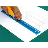 シンワ測定 アルミ直尺 アル助 30cm シャイニングブルー 65415 1本（直送品）