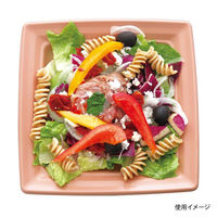 中央化学 軽食容器 CT 沙楽 K20-20 NP-BK 身 12260 1袋(50個)（直送品）