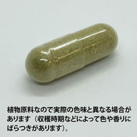 ECLECTIC（エクレクティック） オーガニックハーブサプリメント セントジョンズワート E122 1セット(90カプセル入)（直送品）