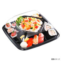 中央化学 オードブル容器 HS デリデコ K27-5 黒-BK 276436 1袋(20個)（直送品）