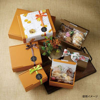 石渡 ギフト箱 ブラウニー SS 04194 1ケース(100個)（直送品）