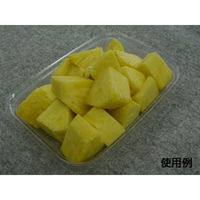 中央化学 惣菜容器 C-AP KF スライス 21 身 171066 1ケース(800個(50個×16))（直送品）