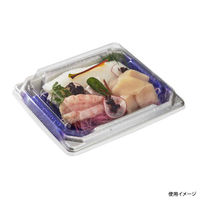 中央化学 刺身容器 四方盛 20-17 雪風B 身 004564 1袋(50個)（直送品）