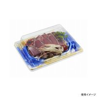 中央化学 刺身容器 漁台20-15 渚GB 身 00744039 1ケース(600個(50個×12))（直送品）