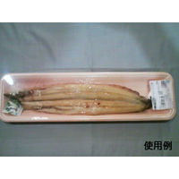 中央化学 発泡トレー CN36-10E 木曽内 333906 1ケース(1600個(100個×16))（直送品）