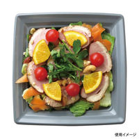 中央化学 軽食容器 CT 沙楽 K20-20 NGR-BK 身 12211 1袋(50個)（直送品）