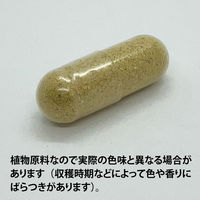 ECLECTIC（エクレクティック） オーガニックハーブサプリメント カレンデュラ E341 1セット(45カプセル入)（直送品）