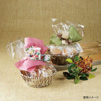 石渡 ギフト箱 レミナ カフェ 130144 1ケース(10個)（直送品）