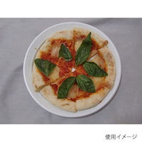 中央化学 弁当容器 CT HMR-6 W 身 T 172551 1ケース(400個(50個×8))（直送品）