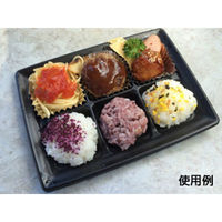 中央化学 軽食容器 CT 沙楽 KS20-15-A BK 身 699678 1ケース(800個(50個×16))（直送品）