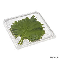 中央化学 フルーツ容器 大葉パック 9993 1袋(50個)（直送品）