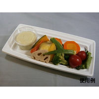 中央化学 軽食容器 CT 沙楽 K24-12 W 身 12195 1袋(50個)（直送品）