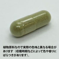 ECLECTIC（エクレクティック） オーガニックハーブサプリメント ホーステイル E454 1セット(135カプセル入)（直送品）