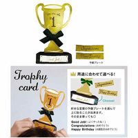 グリーティングライフ トロフィーカード TK-16 1個