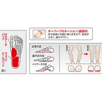 三進興産 ソルボアーチウェッジヒールサポーター 薄型 S dp00109 1個（直送品）