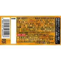 ザクザクドレッシングうま塩味 170ml 1個 安本産業