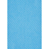 吸水スポンジクロス2 ブルー 1袋（5枚入） 大一産業