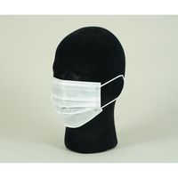 アズワン アズピュア2PLYマスク 耳掛けタイプ 2000枚入 4-3554-01 1箱(2000枚)（直送品）