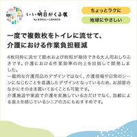 【大人用/流せる】レック こころ想い トイレに流せるおしりふき 大人用おしりふき　おしり拭き　お尻拭き清拭タオル　1個（30枚入×2パック） 限定
