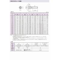 八幡ねじ ステンレス 六角穴付ボルト 半ねじ 6X45 03010500060045 1セット(10個)（直送品）