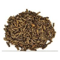 三晃商会 バグズスタイル ハウスクリケット 35g 298485 1個（直送品）