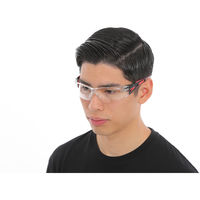 bolle 二眼型保護メガネ（フィットタイプ） ラッシュプラス クリアレンズ 1662301JP 1個