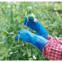 【ビニール手袋】 ビニスターマリン 薄手 3双組 M 776-M 1袋（3双入）