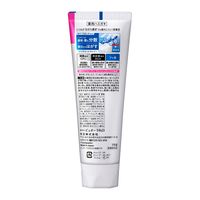 【大容量】 薬用ピュオーラ 歯磨き粉 フレッシュカシス 虫歯・口臭・歯肉炎予防 170g 1セット（1本×10）花王