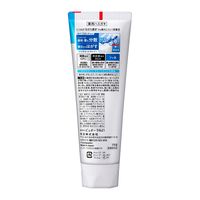 【大容量】 薬用ピュオーラ 歯磨き粉 クリーンミント 虫歯・口臭・歯肉炎予防 170g 1セット（1本×10）花王