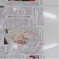 エスコ 保護めがね(x2.0ルーペ付) EA800AS-12 1セット(11個)（直送品）