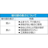 エスコ M 6x 1.0 スパイラルタップ(HSCOーM42) EA829ER-160 1セット(4本)（直送品）