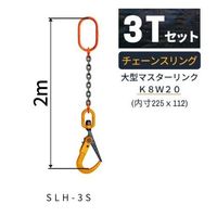 エスコ 3.0tx 2 m スリングチェーン(1本懸/特大マスターリンク付) EA981VZ-13 1セット（直送品）