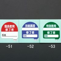 エスコ 35x35mm 識別バンド用ステッカー(技能講習~/10枚 EA983RH-52 1セット(9組)（直送品）
