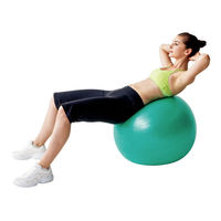 秦運動具工業 バランスボールセイフティー65cm DB65 1個