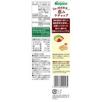 5種の国産野菜入り恵みケチャップ 190g 1個 ナガノトマト トマトケチャップ