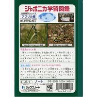 ショウワノート ジャポニカ学習帳 ノート 15行 JBー1 1冊